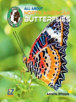 cover image of All About North American Butterflies